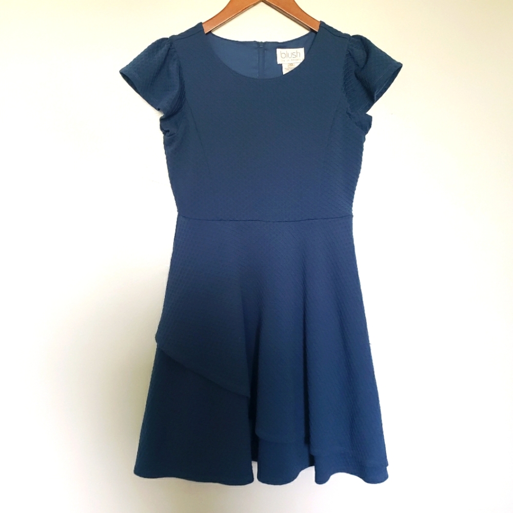 Blush Fit and Flair Navy Ruffle Sleeve Girls Dress Size 12